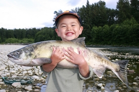 freshwater bait