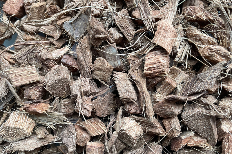 coco chips